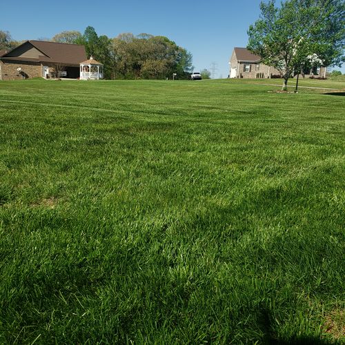 Customer photo review of 18-0-1 GreenePunch