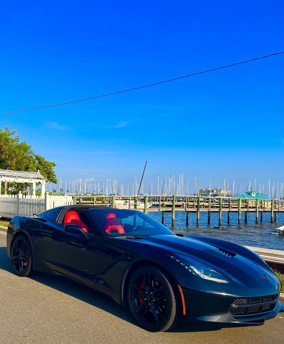 Customer photo review of Corvette C7 Premium Custom Leather Seat Covers