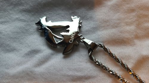 Customer photo review of Palm & Dove Pendant (Silver)