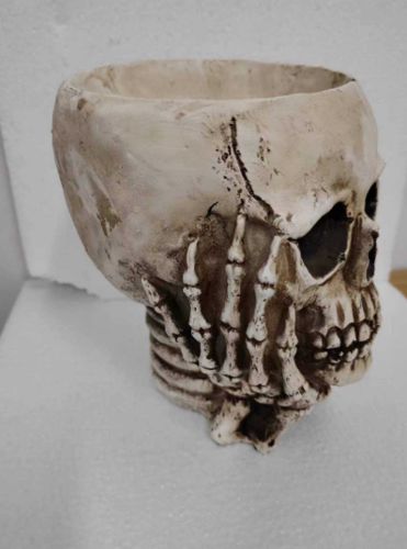 Customer photo review of Just Love Skulls Planter Flower Pot with Skeleton Hands