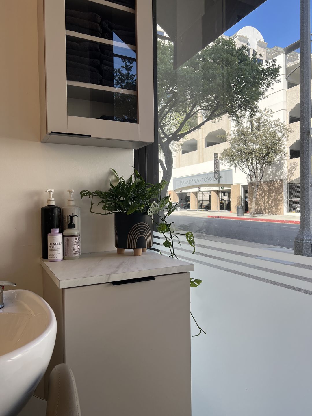 Customer photo review of Monstera Adansonii "Swiss Cheese" Plant