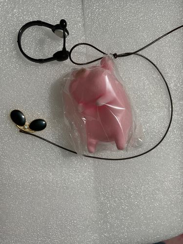 Customer photo review of Inspector Hamlet Swing Ornament