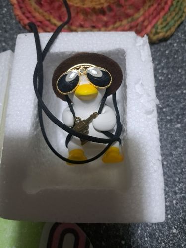 Customer photo review of Chic Duck Swing Ornament