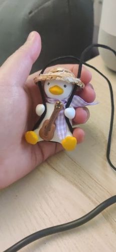 Customer photo review of Chic Duck Swing Ornament