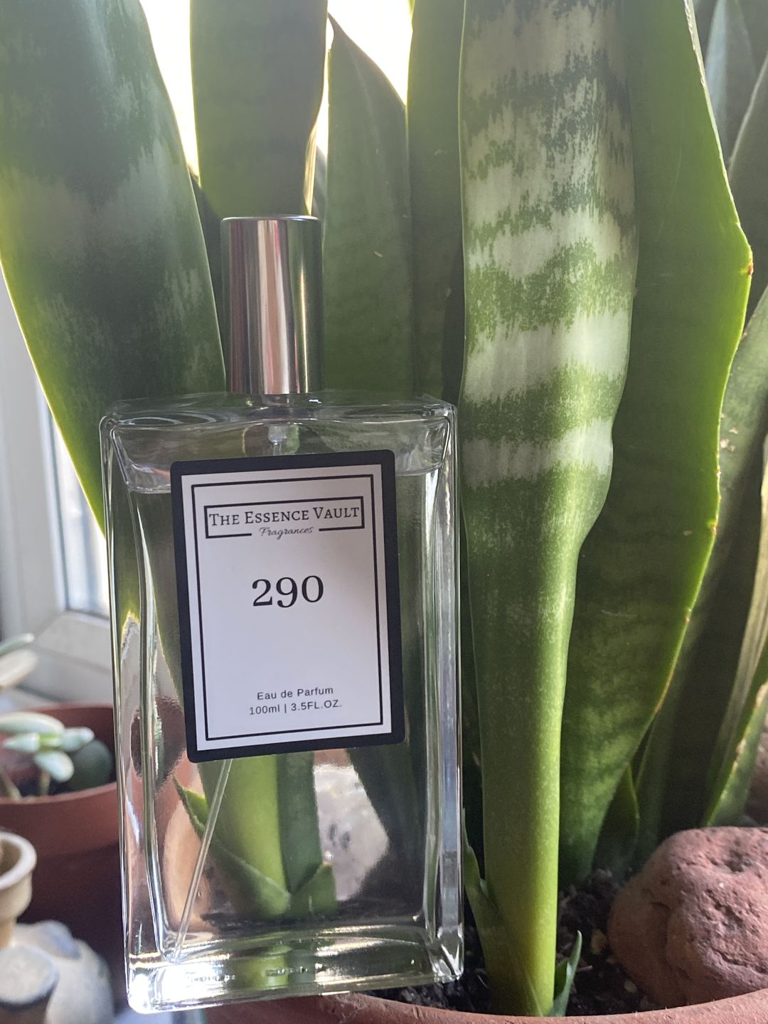 Customer photo review of Inspired by Tobacco and Vanilla - 290