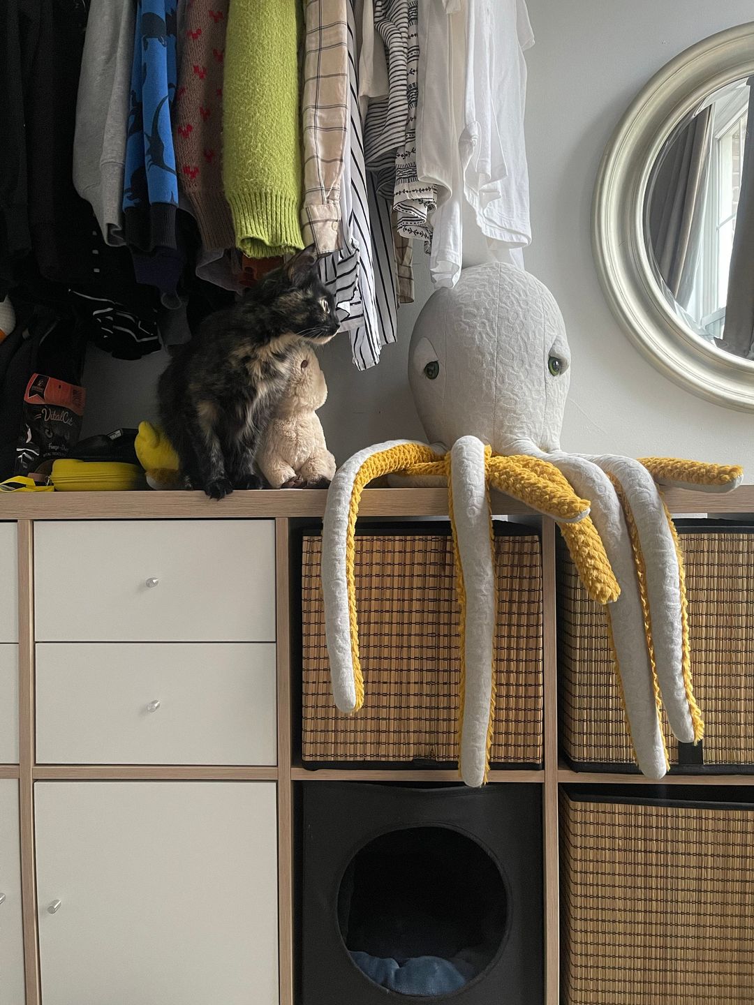 Customer photo review of The Mini Crab
