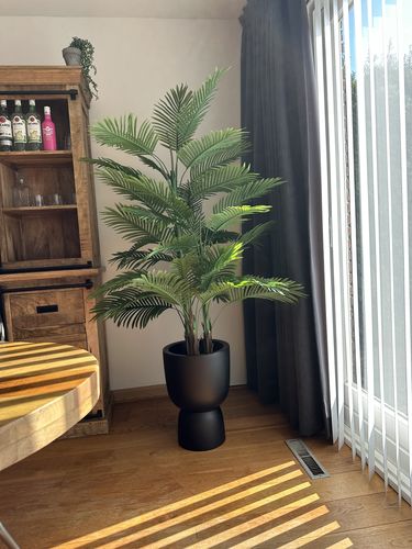 Customer photo review of Kunstpalm 180cm