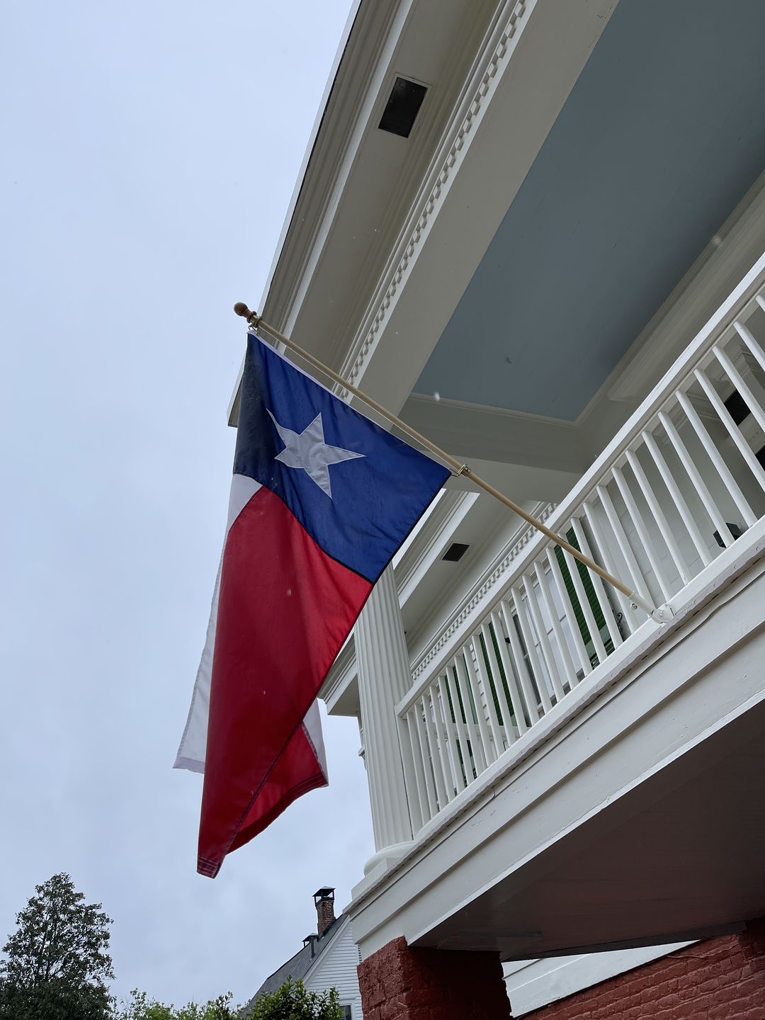 Customer photo review of Texas Flag Set