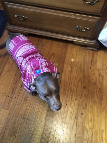 Customer photo review of Playa Poncho - Surprise Color