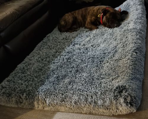Customer photo review of PaWz  Multimat