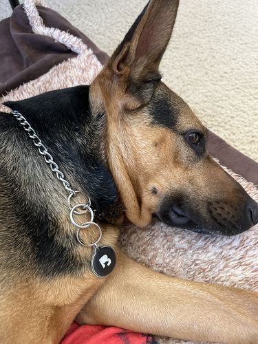 Customer photo review of Black