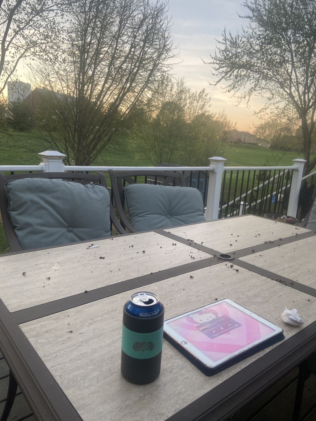 Customer photo review of Non-Tipping Can Cooler
