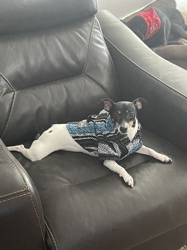 Customer photo review of Playa Poncho - Surprise Color