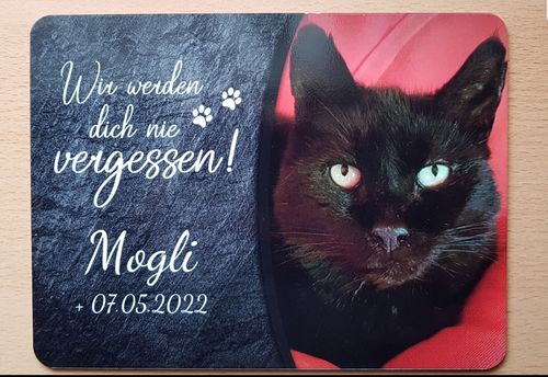 Customer photo review of Katzen Gedenktafel mit Foto & Spruch (UV- und wetterbeständig)