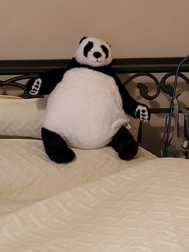 Customer photo review of SKOGGY BEAR