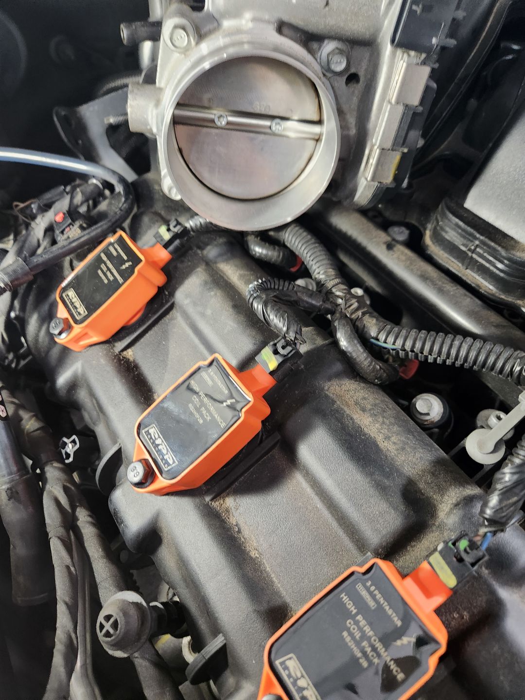 Customer photo review of RIPP High Performance Coil Packs