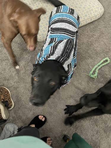 Customer photo review of Playa Poncho - Surprise Color