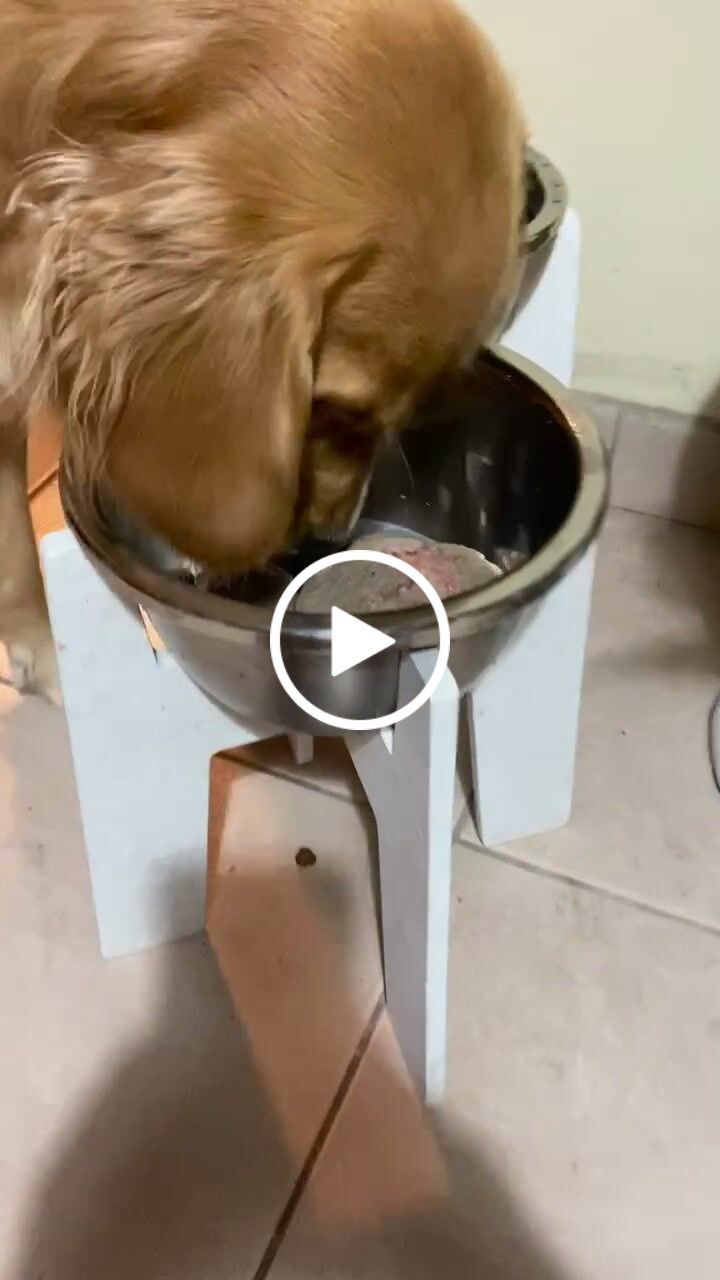 Customer video review of Alimentación Natural - Barker Pollo