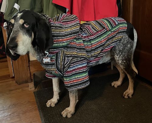 Customer photo review of Playa Poncho - Surprise Color
