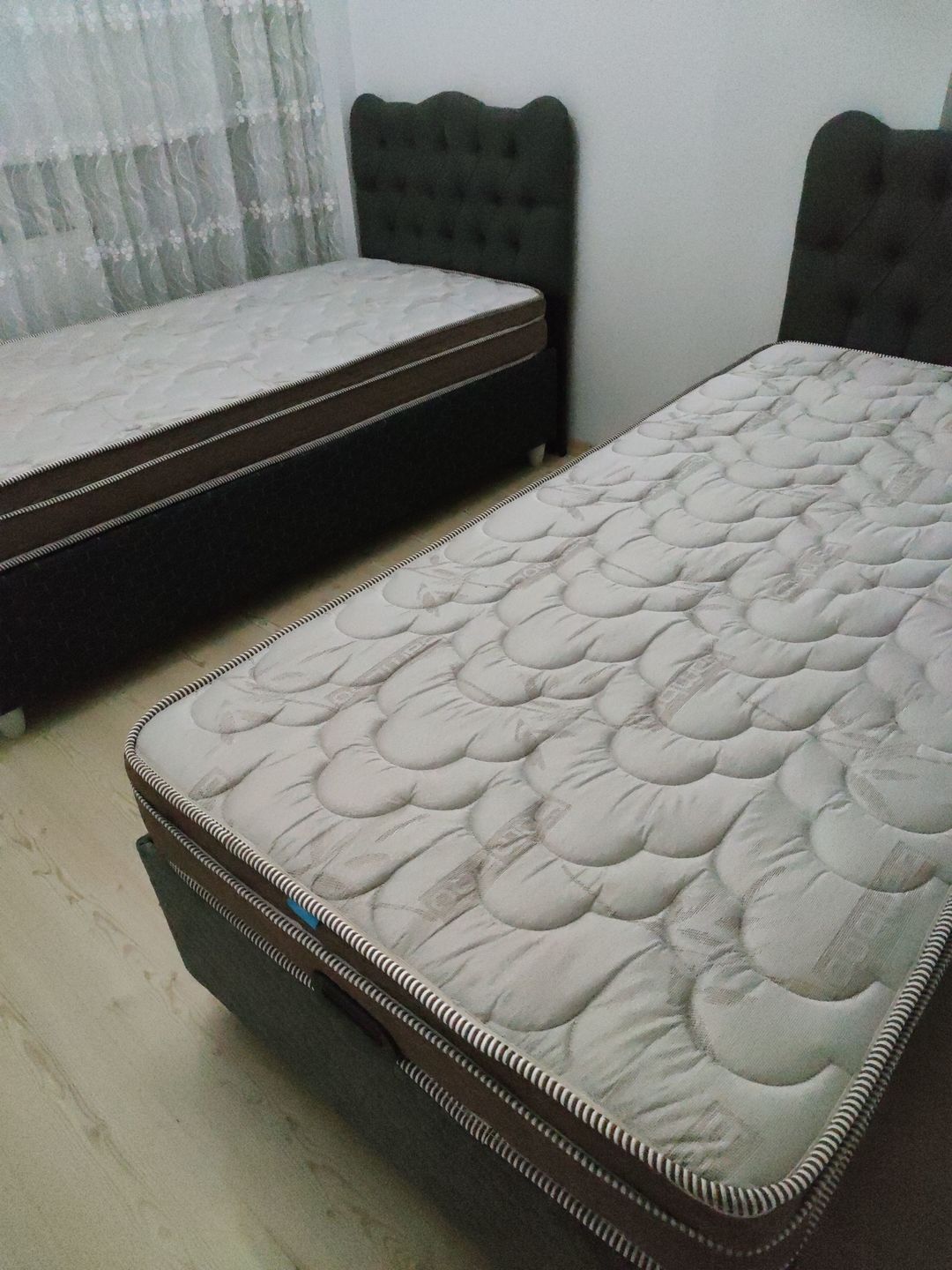 Customer photo review of Flora Economic