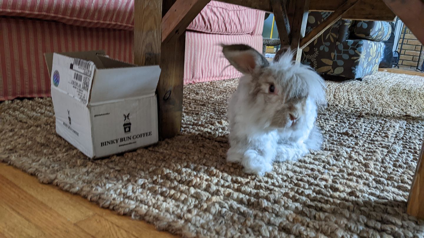 Customer photo review of Breakfast Blend (Bean)