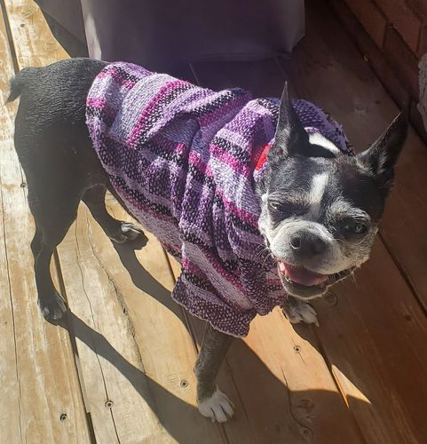 Customer photo review of Playa Poncho - Surprise Color