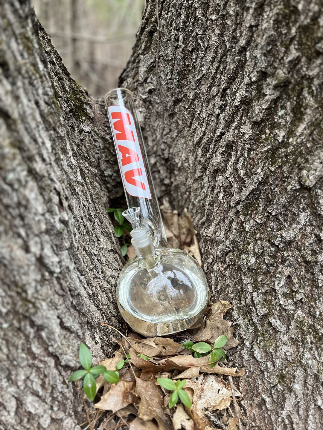 Customer photo review of 16" 9mm Old School Bubble Bottom Bong Retro Logo