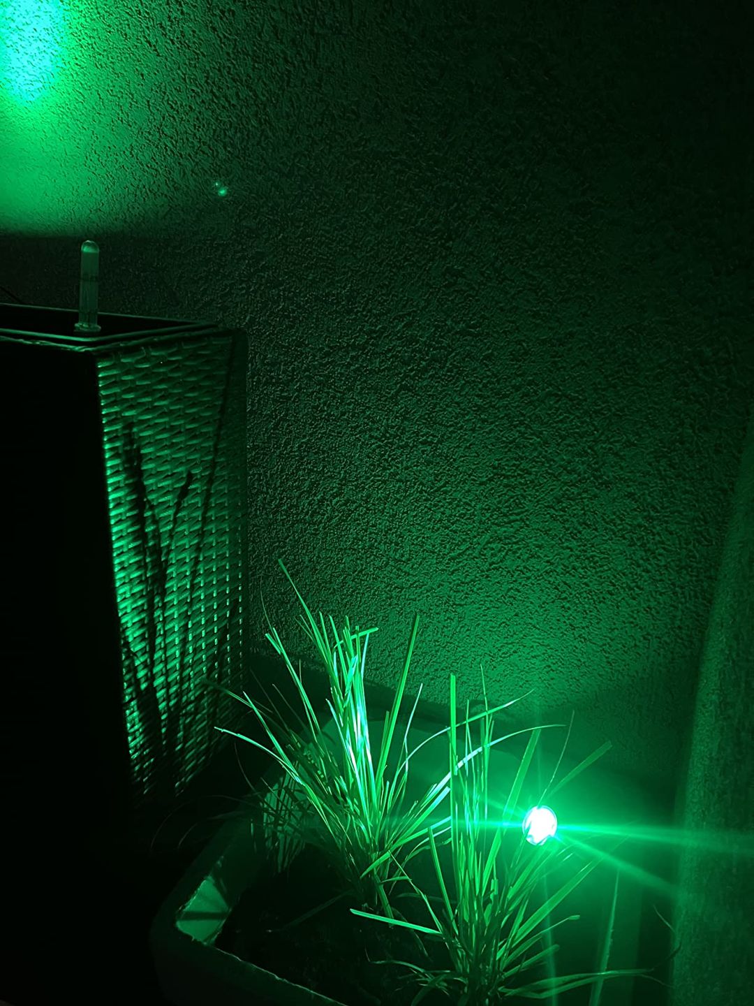 Customer photo review of TSUN Green Solar Spot Lights with Separate