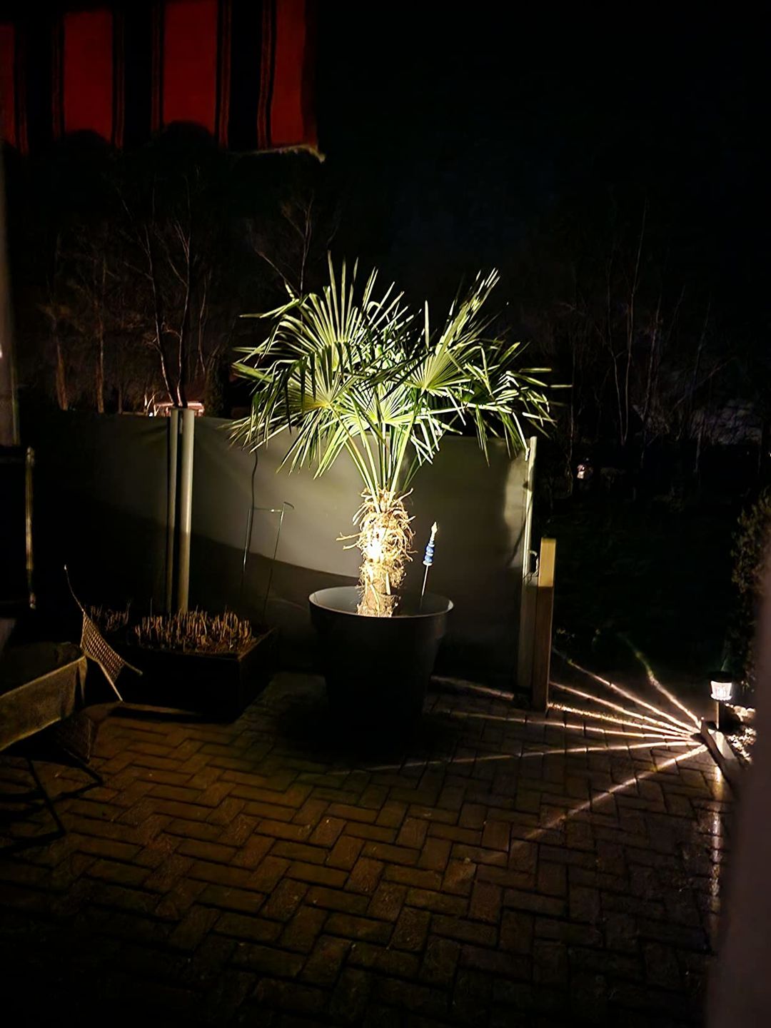 Customer photo review of TSUN LED Solar Spot Lights with Separate Cold White