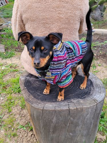 Customer photo review of Playa Poncho - Surprise Color