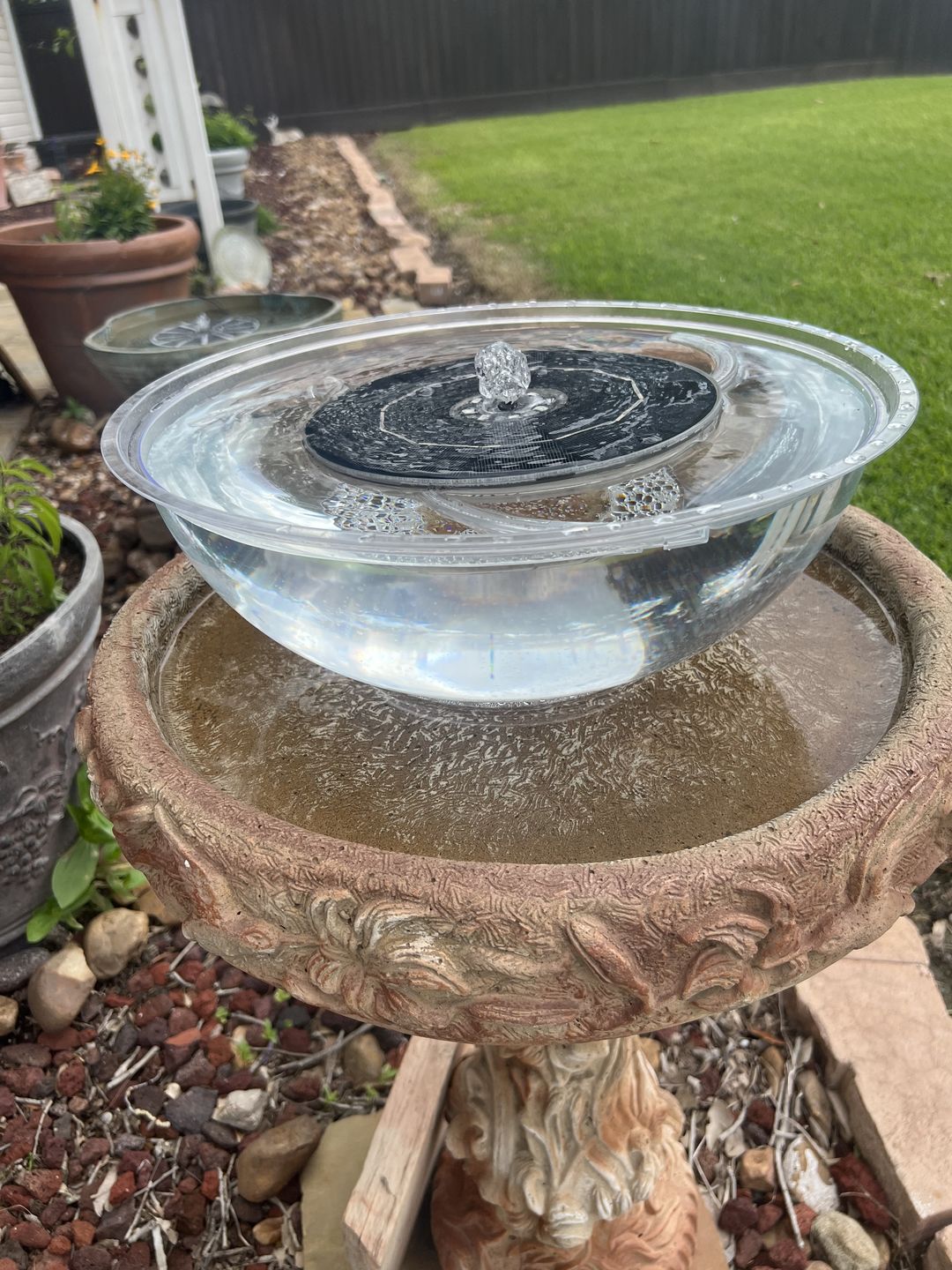 Customer photo review of Clear Plastic XL LARGE  heavy weight  Bowl 320 OZ
