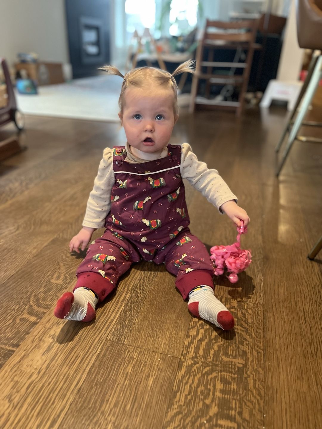 Customer photo review of Nordic Horses Playdays Dungarees