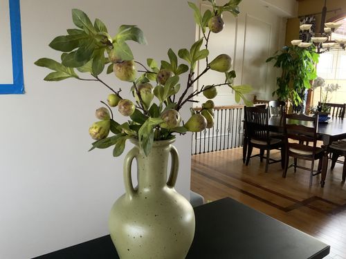 Customer photo review of Artificial Fruit Fig Plant Long Stem