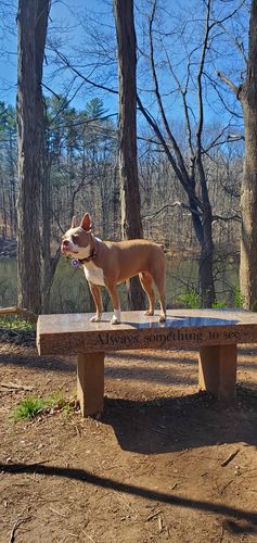 Customer photo review of Blue