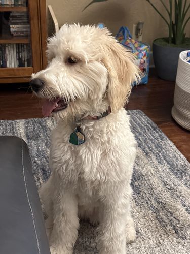 Customer photo review of Beach Silicone