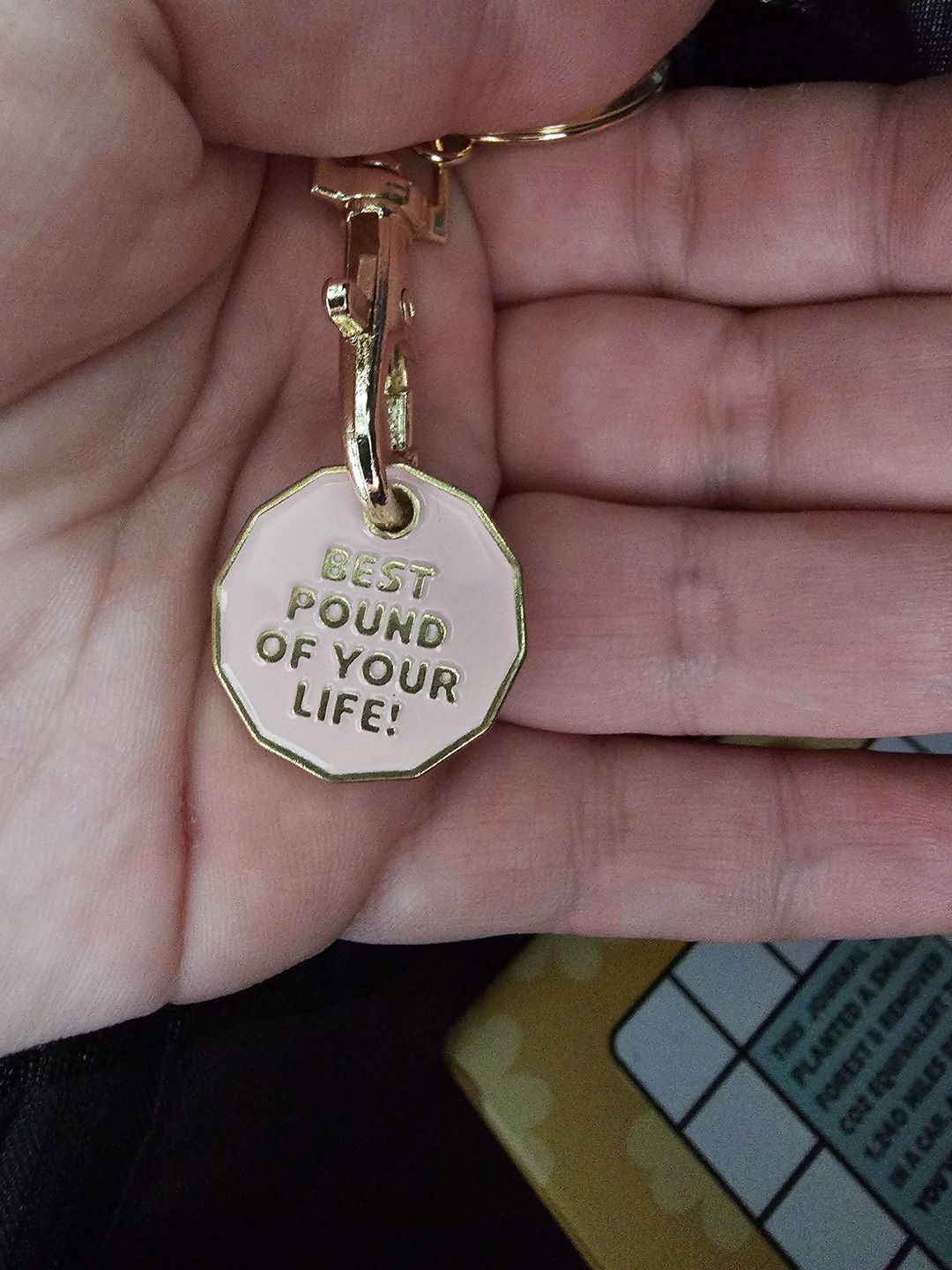 Customer photo review of Freebie Best Pound of Your Life - Trolley Coin