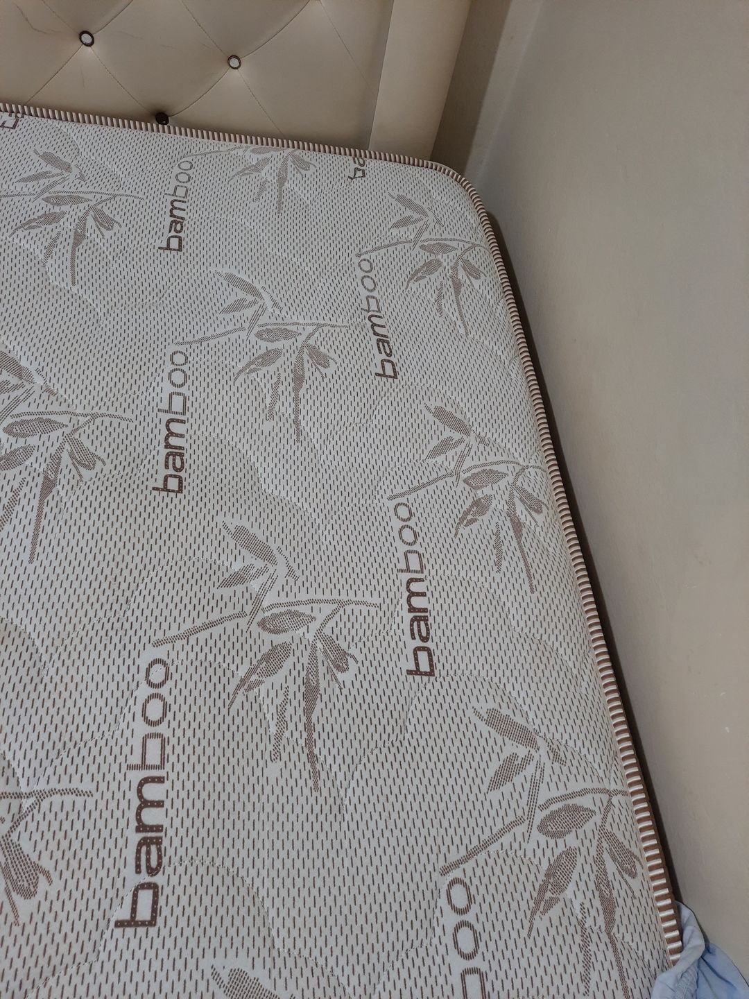 Customer photo review of Flora Economic