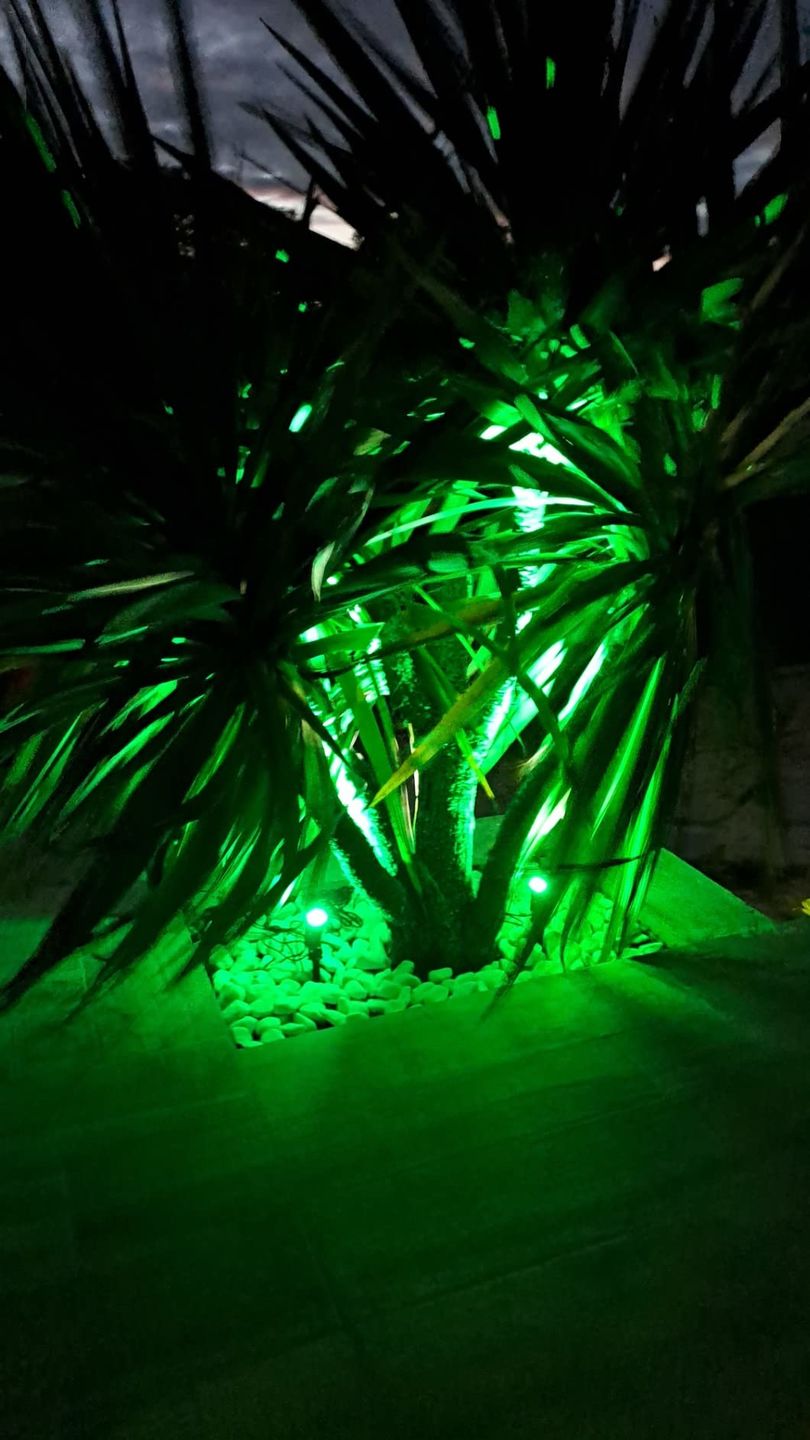 Customer photo review of TSUN Green Solar Spot Lights with Separate