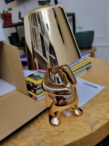 Customer photo review of Thinker™ Lamp