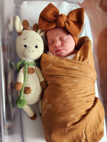 Customer photo review of Oliver the Giraffe