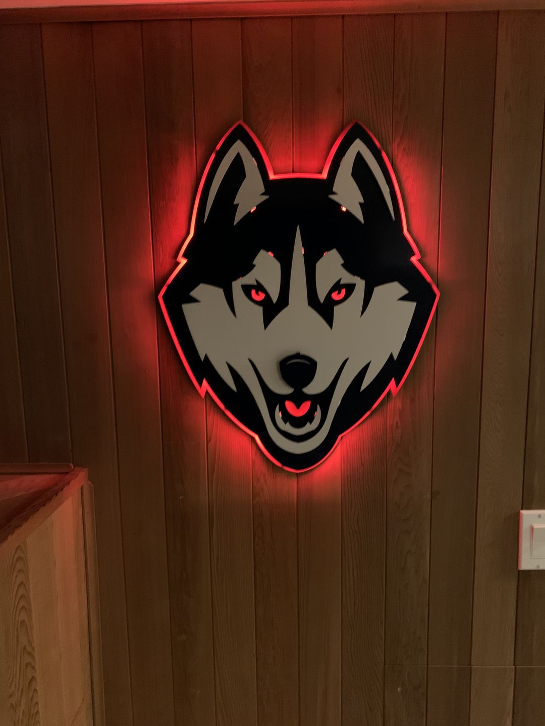 Customer photo review of Connecticut UCONN Huskies Mascot 3D Metal Wall Art