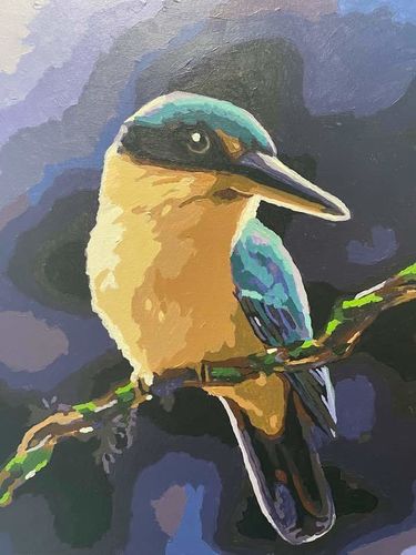 Customer photo review of Sacred Kingfisher