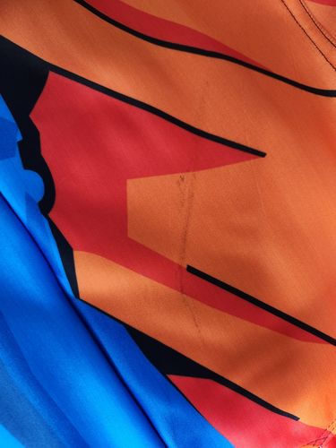 Customer photo review of Son Goku