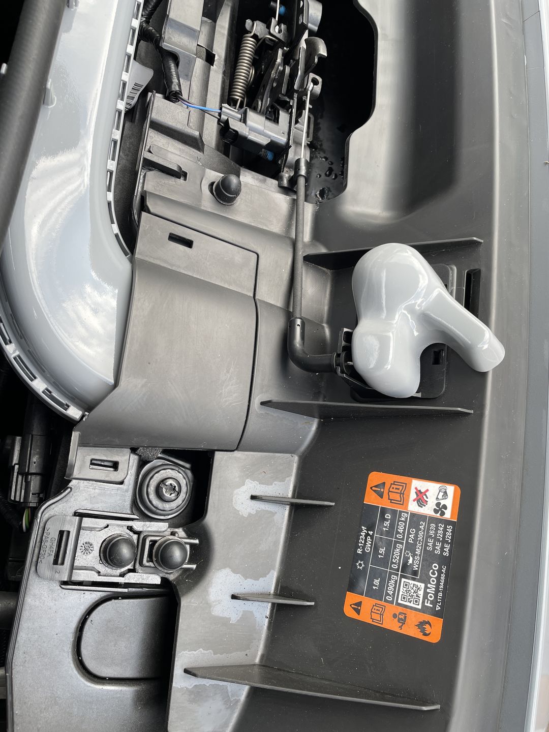 Customer photo review of Proform Bonnet Catch Cover (various colours) - MK3 / 3.5 Focus & Mk2 Puma