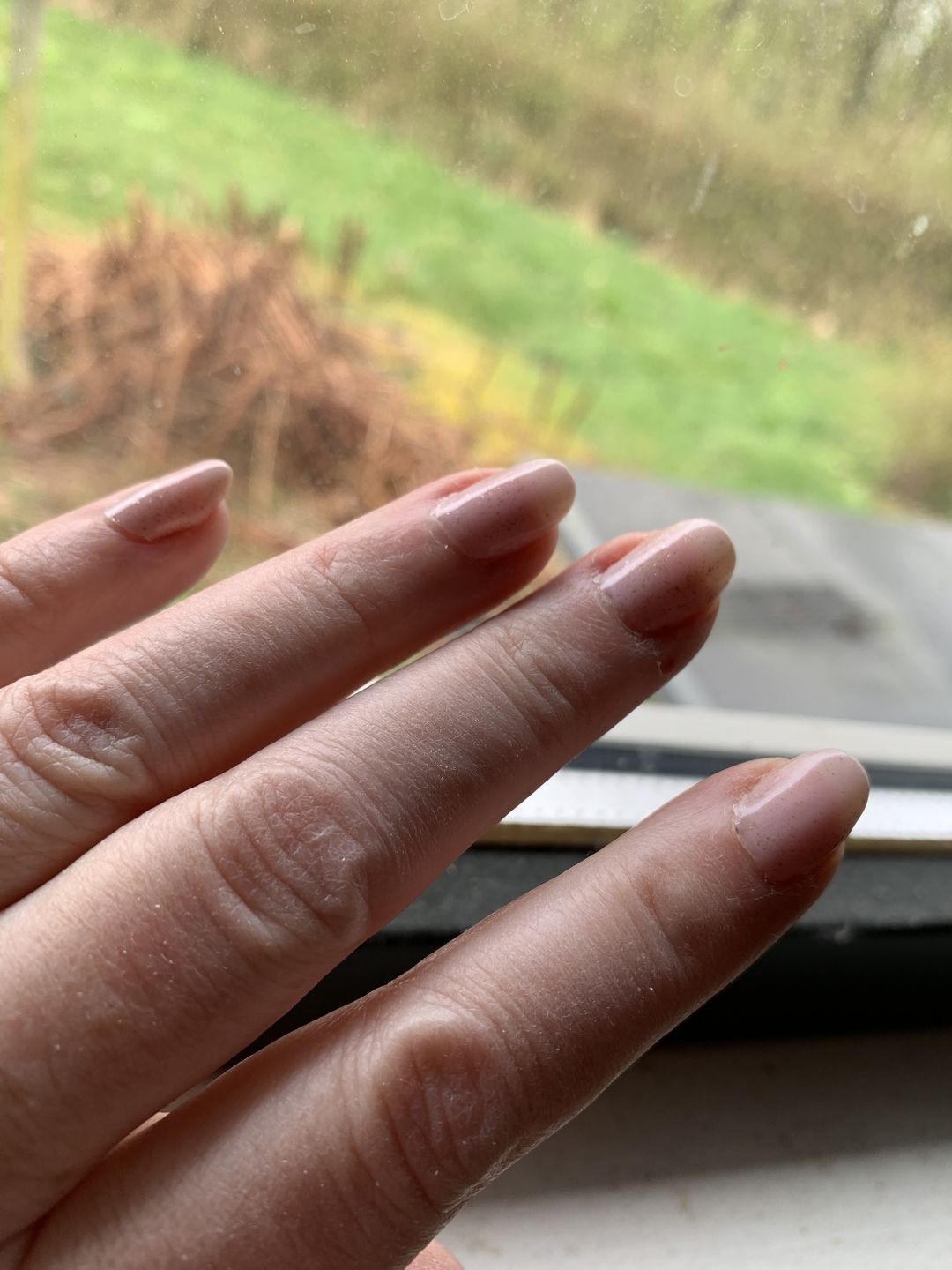 Customer photo review of Fiber Base Coat "Studios Didier", Octagon, 8 ml