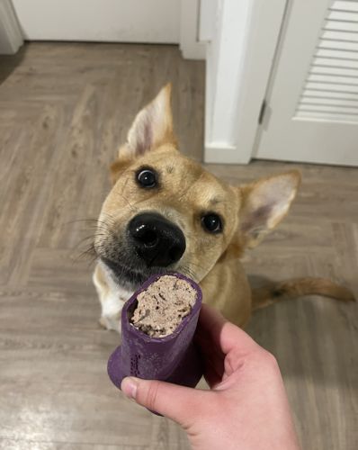 Customer photo review of Freezbone