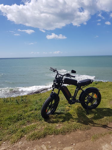 Customer photo review of ENGWE M20 750W 20" Fat Bike E-Mountain Bike 45km/h [ Pre-order ]