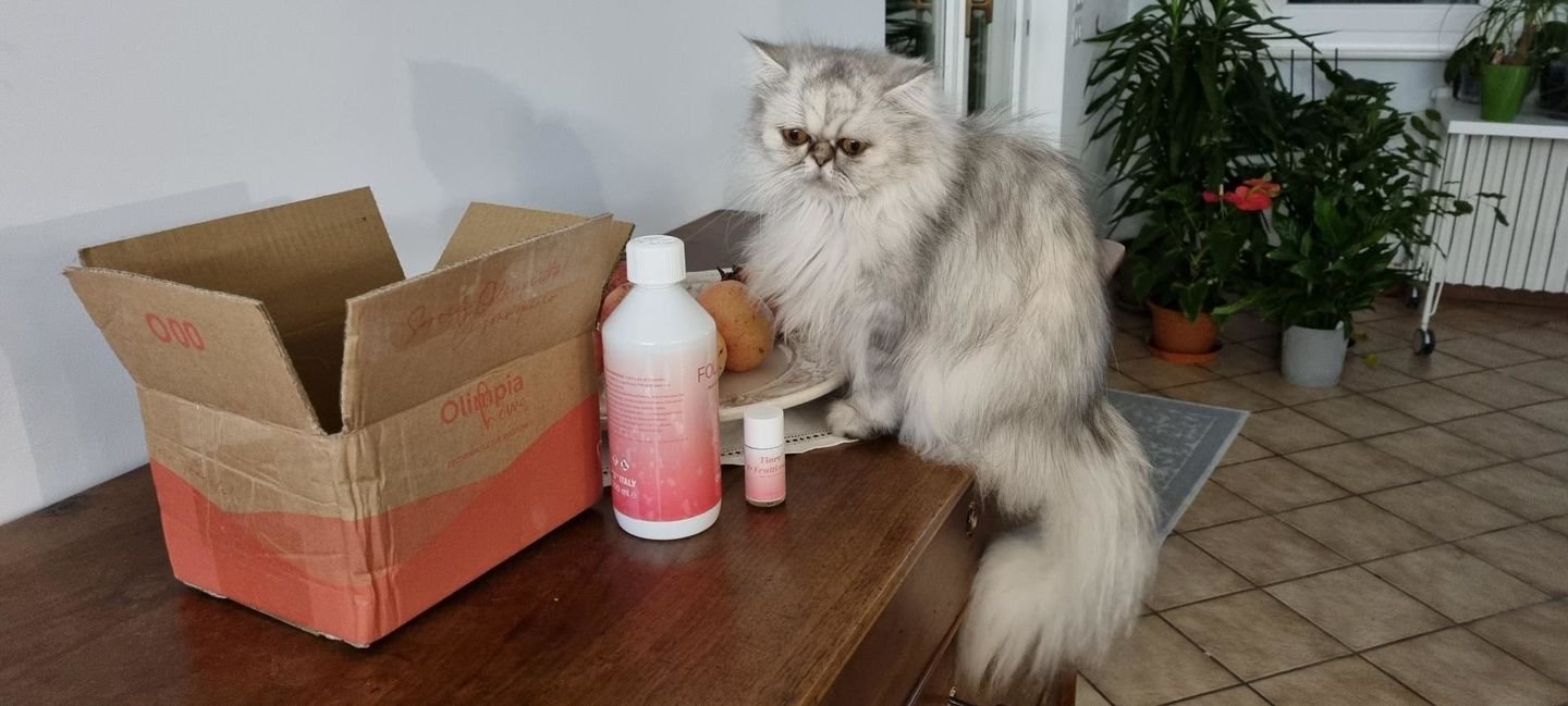 Customer photo review of Follia N.1 profumatore per bucato OH Fragrance