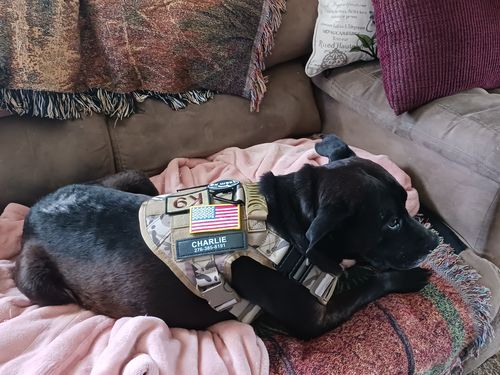 Customer photo review of USA Flag Hook & Loop Patch For Harness