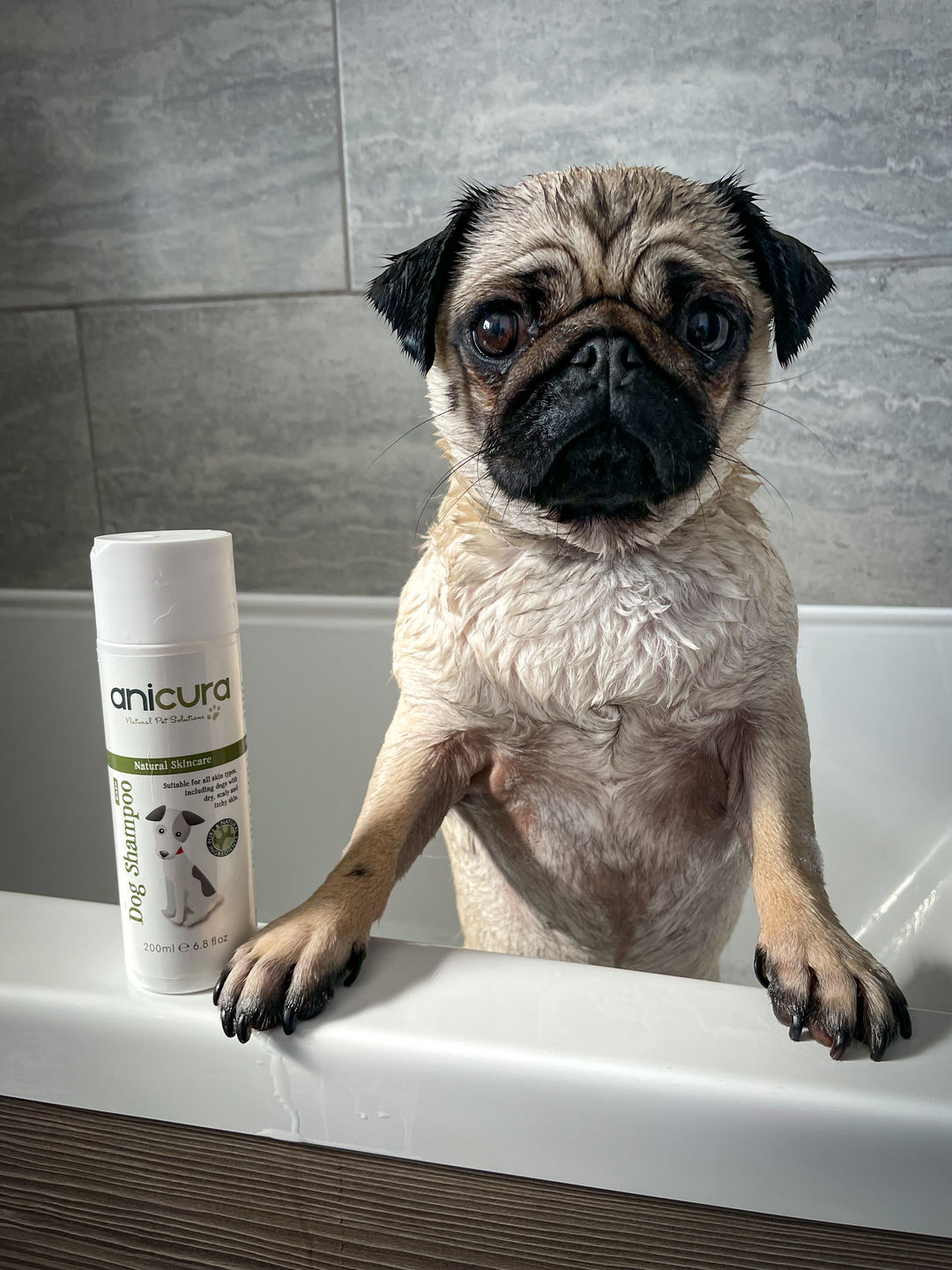 Customer photo review of Dog Shampoo
